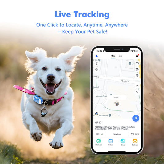 ‌Safe Return Tech:  GPS Tracker for Pets -